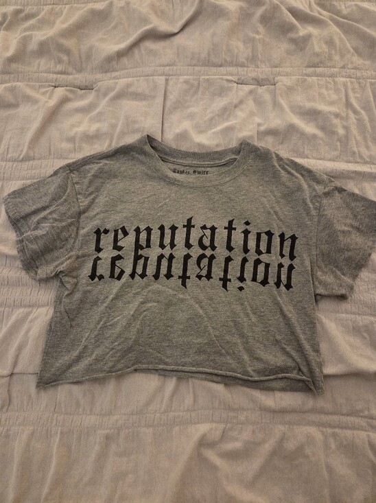 Taylor Swift Tops - Taylor Swift Reputation Tour Gray Graphic Crop Tee
